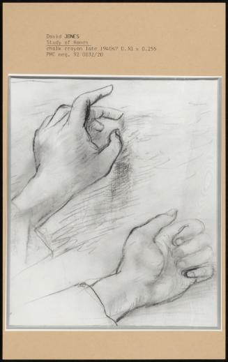 Study Of Hands