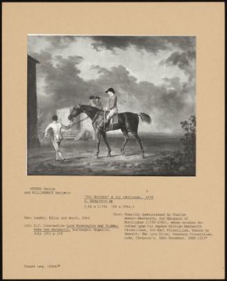 Sir Solomon' a Bay Racehorse, with J. Singleton Up