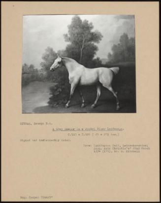 A Grey Hunter in a Wooded River Landscape