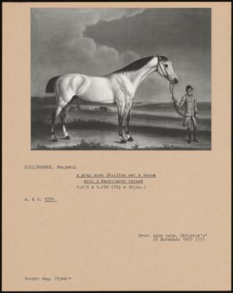 A Grey Arab Stallion And A Groom With A Racecourse Beyond