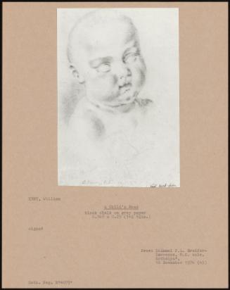 A Child's Head