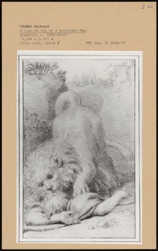 A Lion On Top Of A Prostrate Man