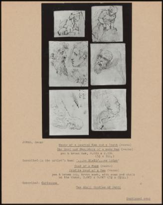 Heads Of A Bearded Man And A Youth (Recto); The Head And Shoulders Of A Nude Man (Verso); Head Of A Monk (Recto); Profile Head Of A Man (Verso); Two Small Studies Of Putti