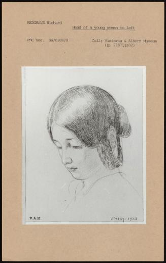 Head Of A Young Woman To Left