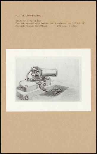 Study of a Naval Gun