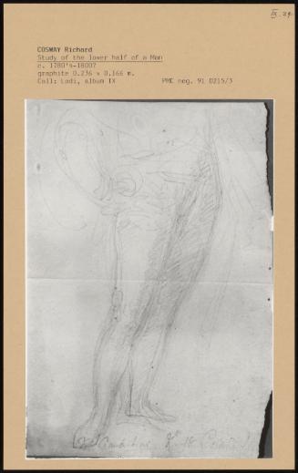 Study Of The Lower Half Of A Man