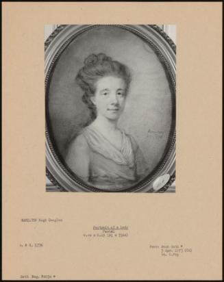 Portrait Of A Lady