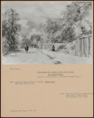 A Horseman In A Lane Lined With Trees Near Birmingham