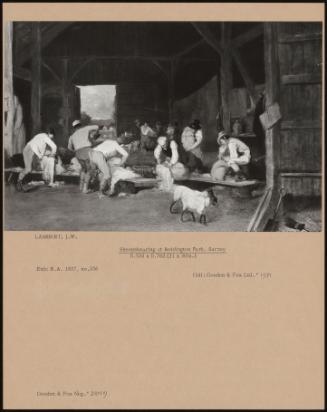 Sheep Shearing At Beddington Park, Surrey