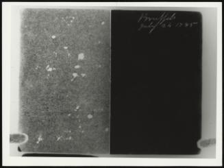 PA-F06198-0233