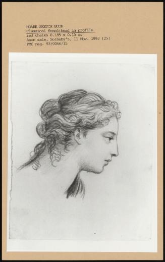 Classical Female Head In Profile