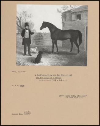 A Gentleman with His Bay Hunter and Two Pet Dogs by a Stable