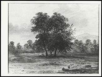 Landscape With Two Large Trees