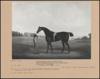 Racehorse Held By A Young Groom, With A Country House In The Background (Said To Be Cadlands)