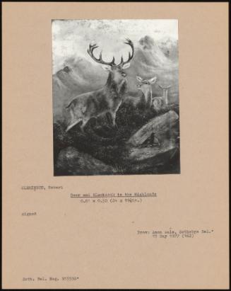 Deer And Blackcock In The Highlands