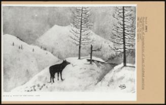 Photograph Of Reproduction Of Lost Childhood Painting Wolf In The Snow