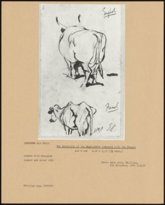 The Superiority Of The English Cow Compared To The French