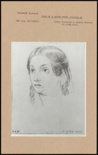 Head Of A Young Woman Looking Up