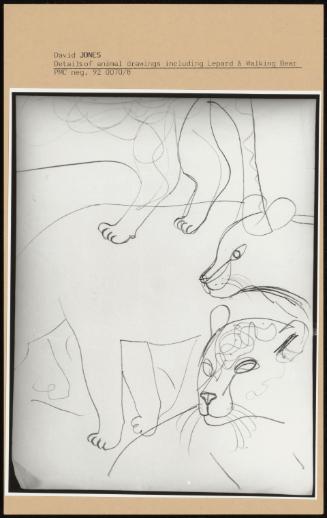 details Animal Drawings Including Lepard & Walking Bear