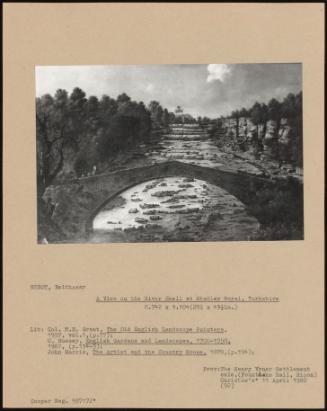 A View On The River Skell At Studley Royal, Yorkshire