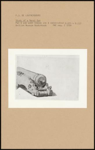 Study of a Naval Gun