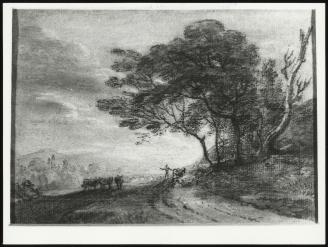 Landscape With Trees & Cattle