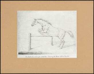 The First Action Of Leaping At The Bar - Shewing The Horse With His Muscles.