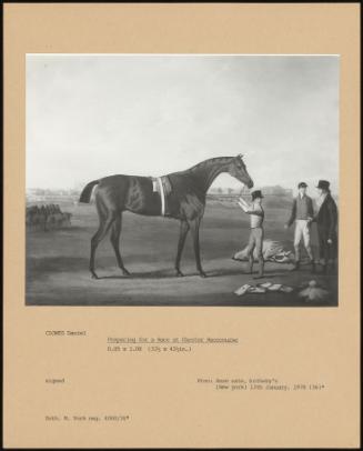 Preparing For A Race At Chester Racecourse