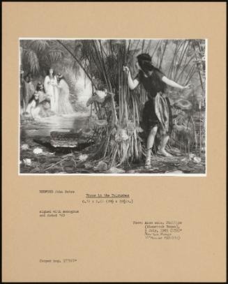 Moses In The Bulrushes