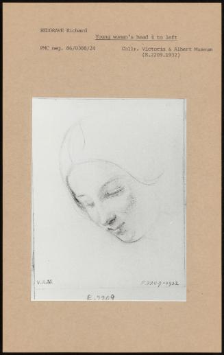 Young Woman's Head 3/4 To Left