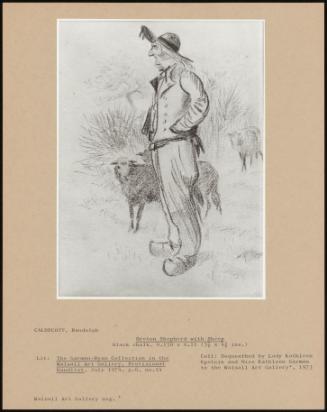 Breton Shepherd With Sheep