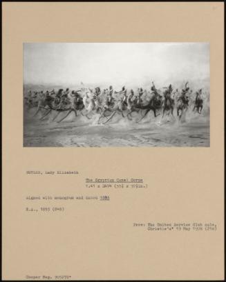 The Egyptian Camel Corps