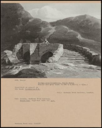 Bridge Near Llanberis, North Wales