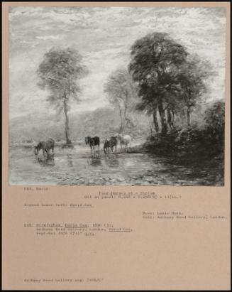 Four Horses At A Stream