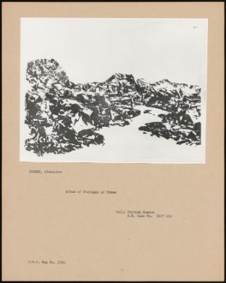 Album Of Etchings Of Trees