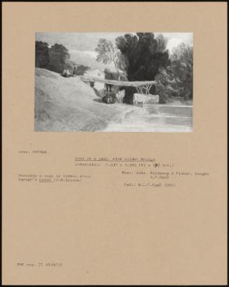 Cows At A Pool, With Wooden Bridge