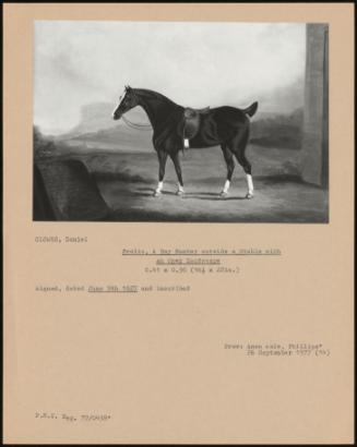 Frolic, A Bay Hunter Outside A Stable With A Open Landscape