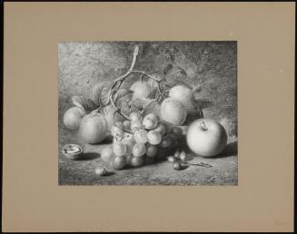 Still-Life With Fruit