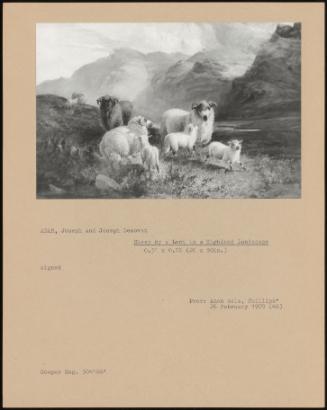 Sheep By A Loch In A Highland Landscape