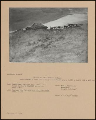 Cattle On The Ridge Of A Hill