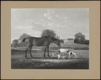 Charion' Hunter Of Charles Shand Of Lovel Hill, Berkshire