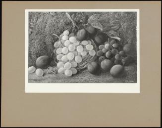 A Still-Life Of Grapes And Plums By A Wall