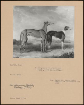 Two Greyhounds In A Landscape