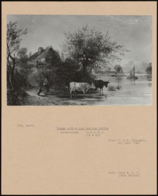 Woman With A Dog Tending Cattle