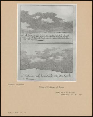 Album Of Etchings Of Trees