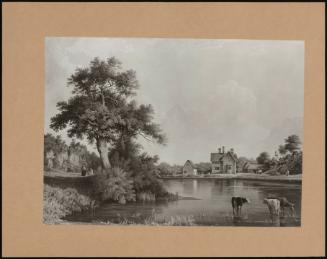 A View Of Bowley Farmhouse With Cattle Drinking At The Pond