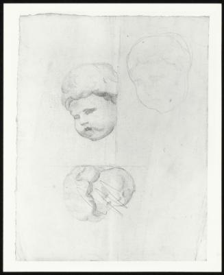 Studies of a Cherub's Head (Unidentified)