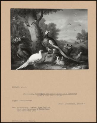 Pheasants, Partridges And Other Birds In A Landscape