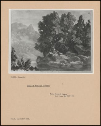 Album Of Etchings Of Trees