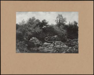 A Wooded, Rocky, Winding River